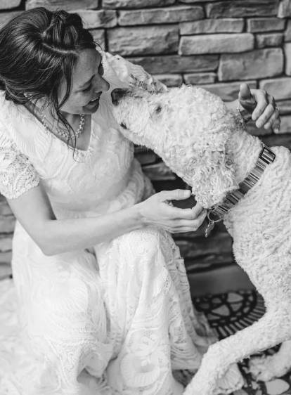potret anjing rayakan pernikahan hooman (reddit.com/JephriB)