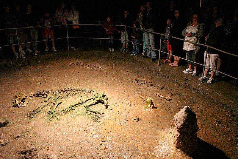 kerangka beruang gua atau cave bear di Romania (commons.wikimedia.org/Zátonyi Sándor)