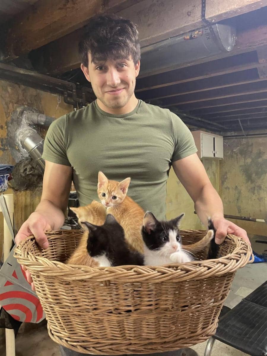 potret lucu kucing nongkrong di keranjang rotan (reddit.com/user/thundermash)