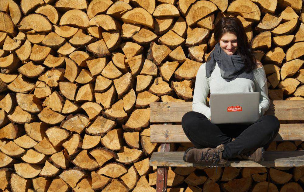 ilustrasi bekerja (pexels.com/Coworking Bansko)