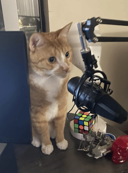 potret kucing jadi podcaster (reddit.com/spookyindividualist)