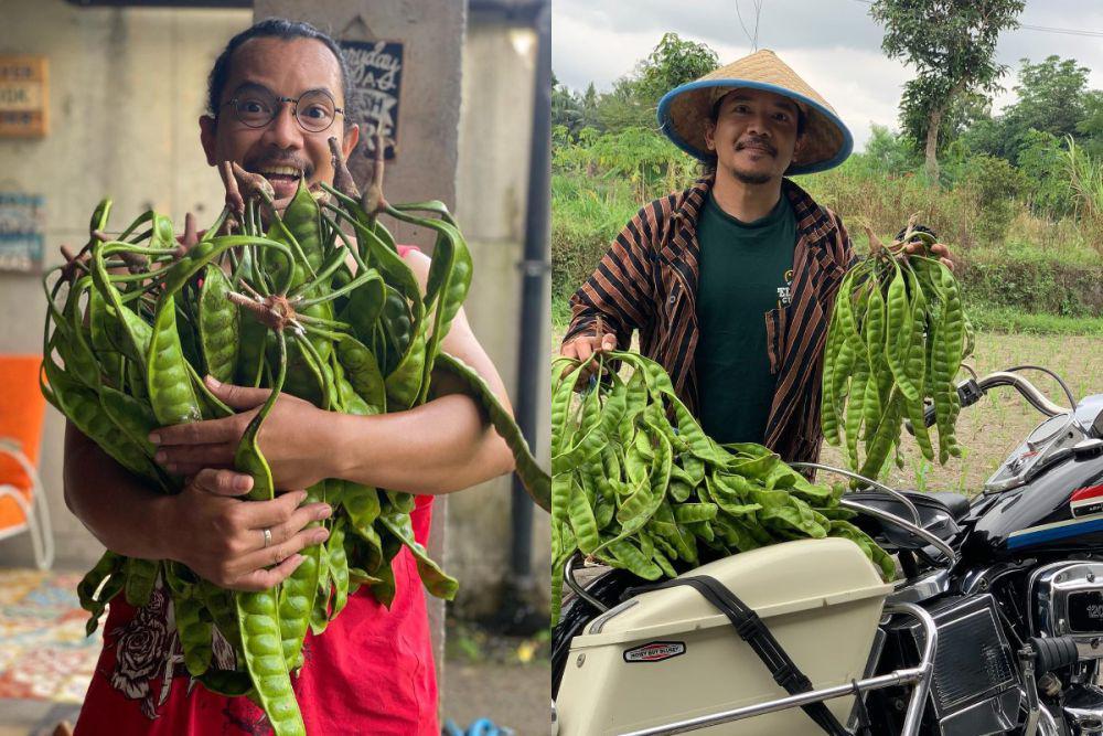 7 Potret Cella Kotak Panen Pete dari Kebun Sendiri, Pakai Moge!