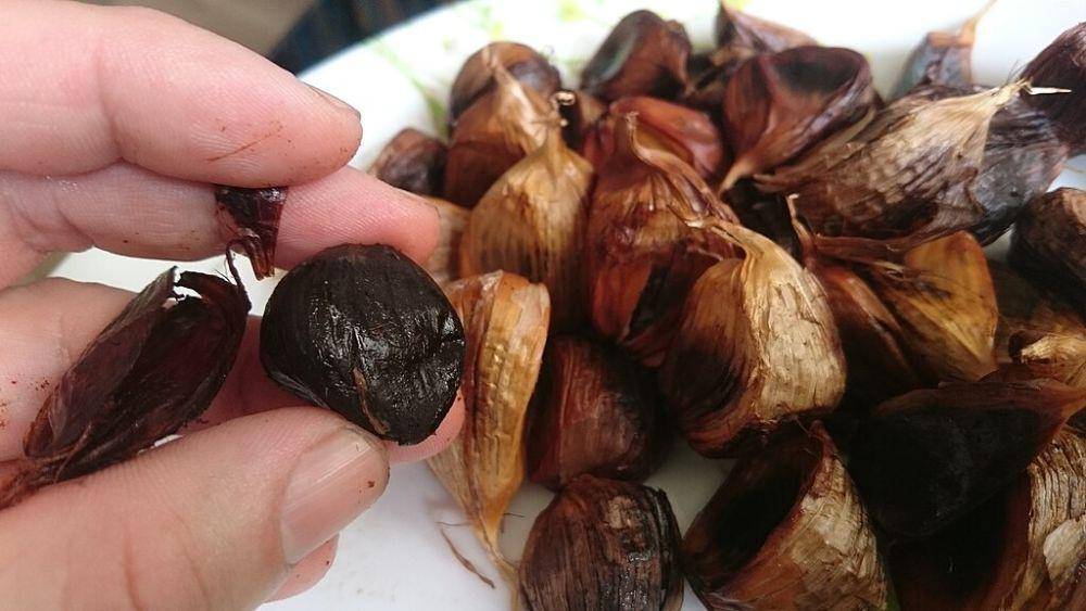 ilustrasi black garlic (commons.wikimedia)