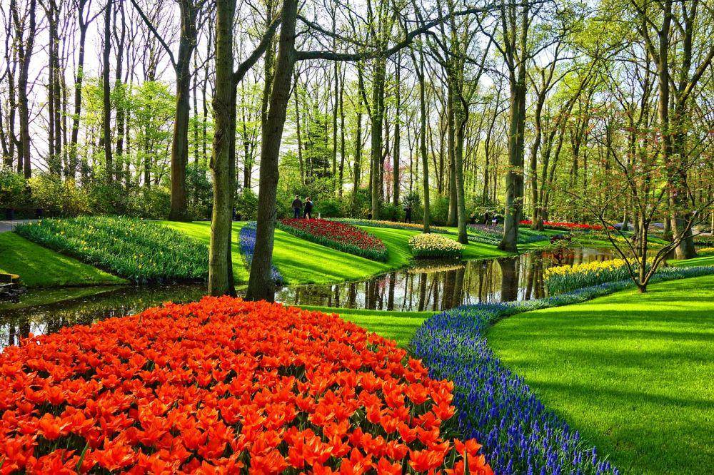 Taman Keukenhof (pixabay.com/MabelAmber)