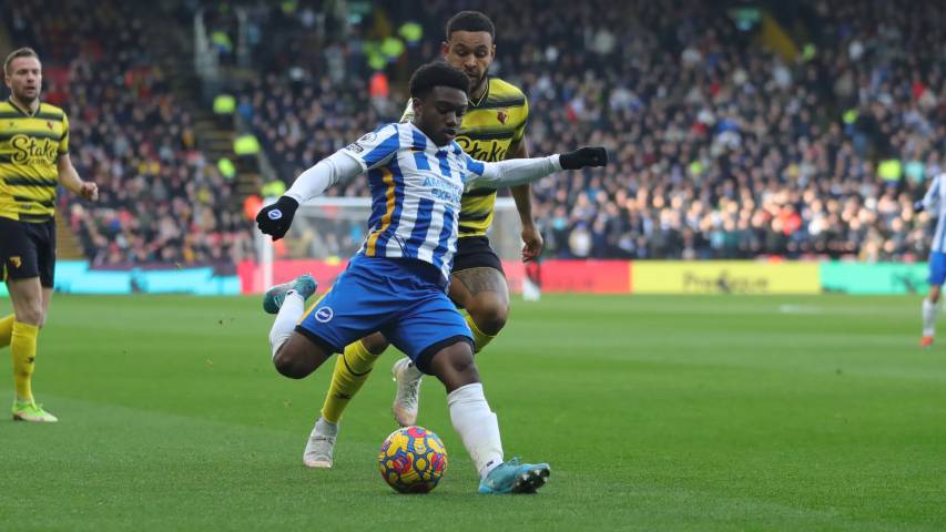 Tariq Lamptey (brightonandhovealbion.com)