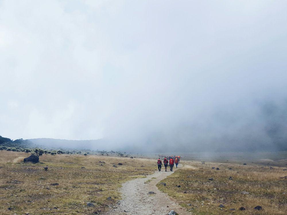 3 Jalur Pendakian Gunung Gede Pangrango yang Bisa Kamu Tempuh