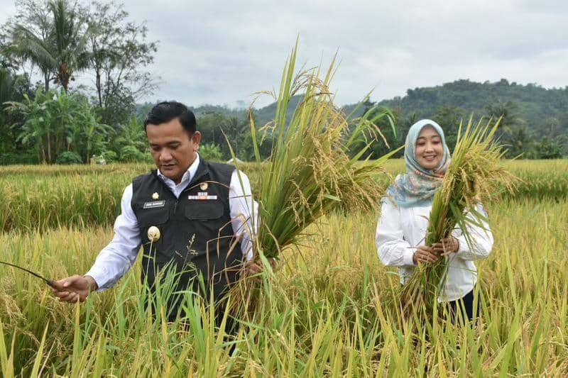 Istimewa/ Pj Bupati Majalengka bersama istri kut panen raya
