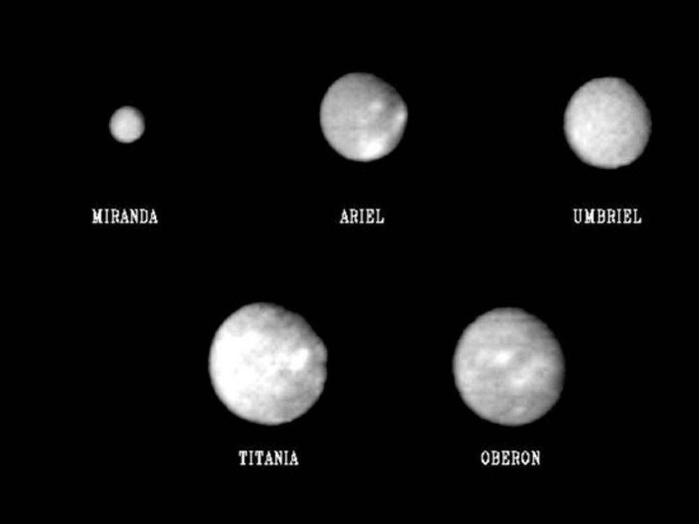 ilustrasi perbandingan ukuran 5 bulan utama planet Uranus (NASA/JPL)