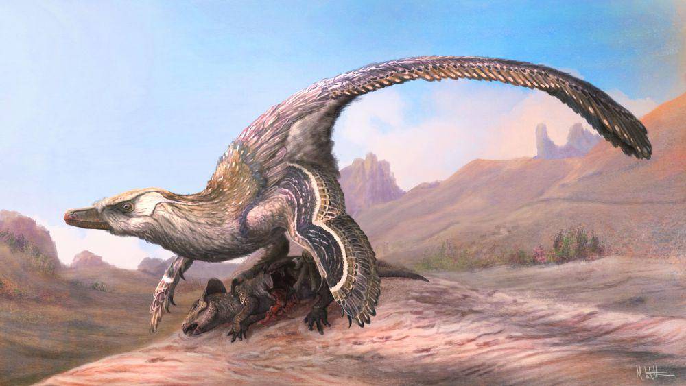 Ilustrasi Velociraptor (twitter.com/Mark Witton)