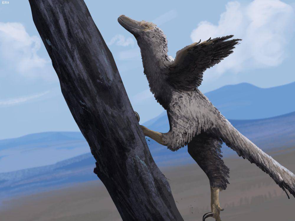 Ilustrasi Velociraptor (twitter.com/кʼюрі 🇺🇦 (3/10))