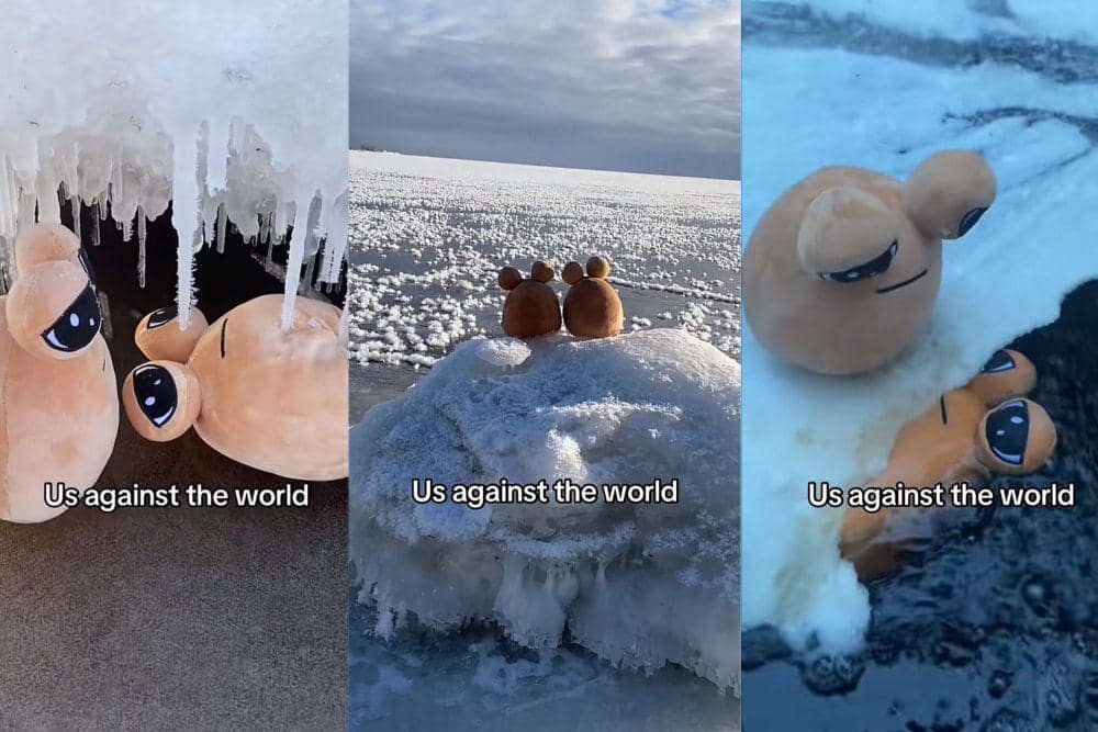 7 Potret Kocak Boneka Pou Sedih dengan Berbagai Adegan, Penuh Drama!