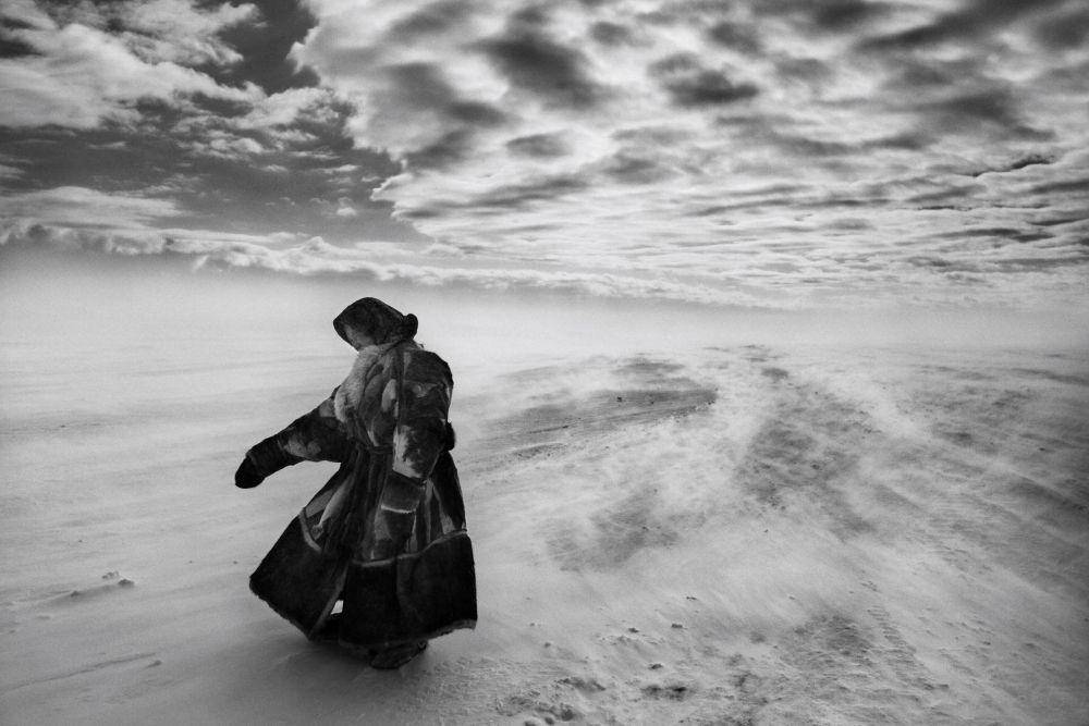 The Salt of the Earth (dok. Le Pacte/The Salt of the Earth)
