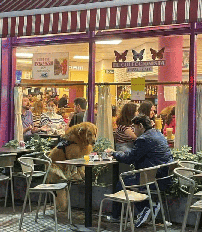 potret orang duduk semeja dengan anjingnya (twitter.com/contextdogs)