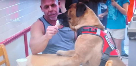 potret orang duduk semeja dengan anjingnya (reddit.com/chlorom)