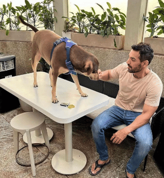 potret orang duduk semeja dengan anjingnya (reddit.com/deleted)