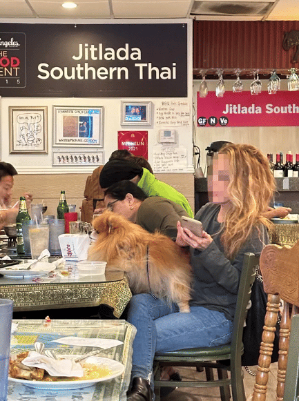 potret orang duduk semeja dengan anjingnya (reddit.com/briskpoint)