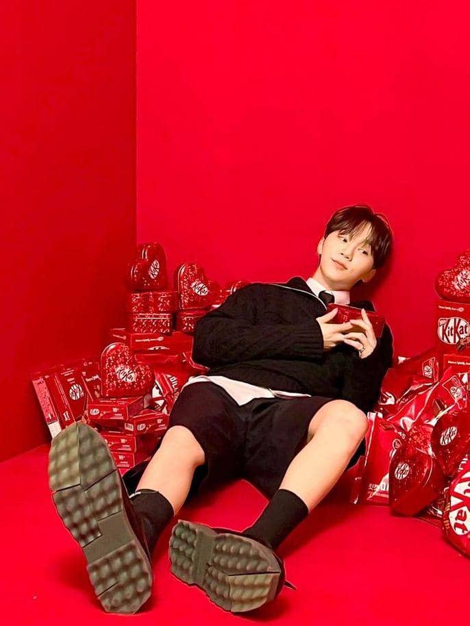 potret Seungkwan SEVENTEEN (instagram.com/pledis_boos)