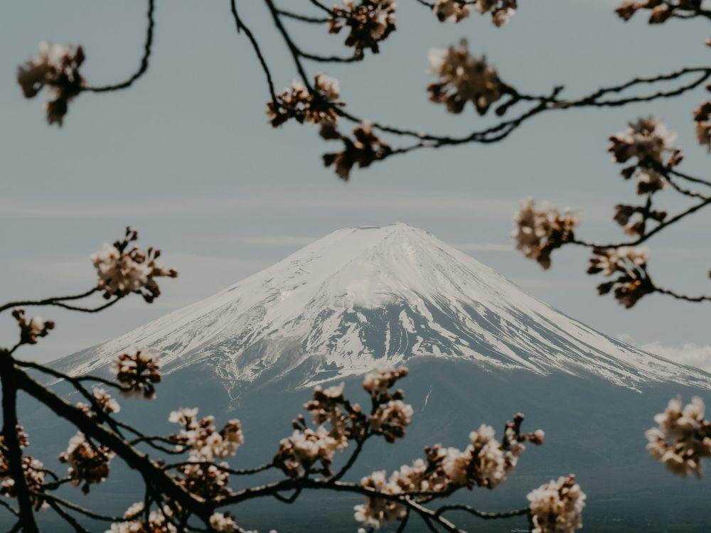 5 Fakta Tentang Gunung Fuji, Dianggap Sebagai Gunung Suci!
