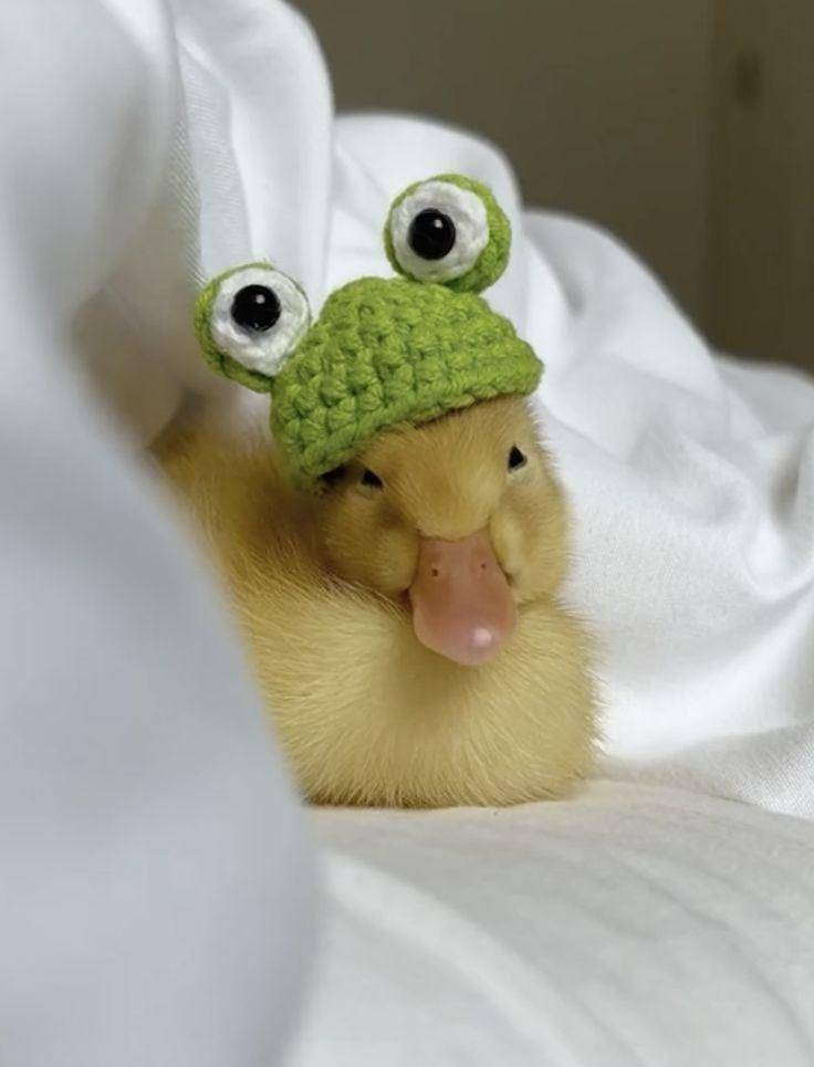 potret bebek menggunakan topi (twitter.com/What__I__Feel)