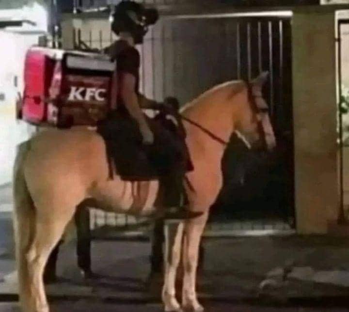 potret mengantar makanan dengan kuda (twitter.com/picsthatg0hard_)