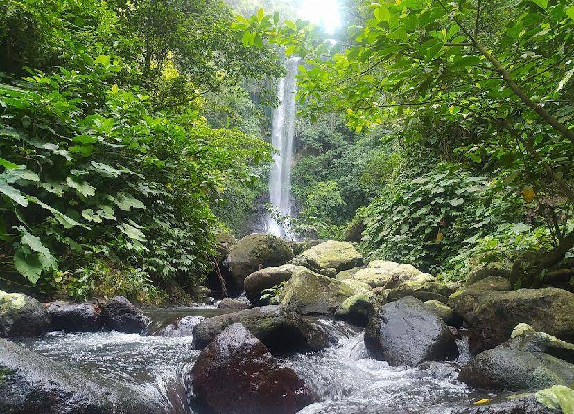 Air Terjun Way Tayas. (Google Review/Air Terjun Way Tayas)