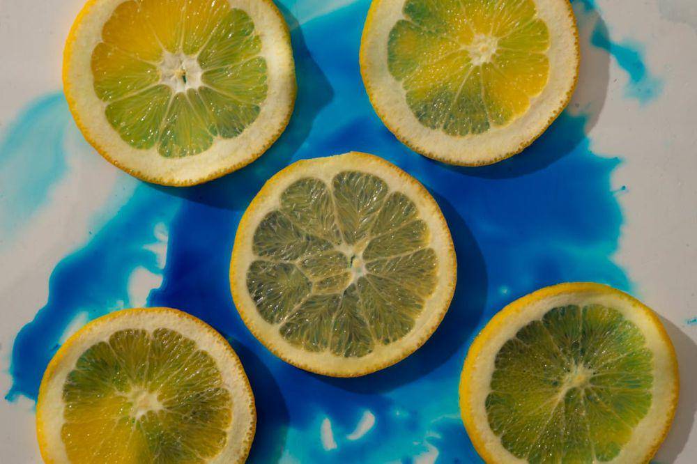 ilustrasi lemon iris (pexels.com/Jill Burrow)