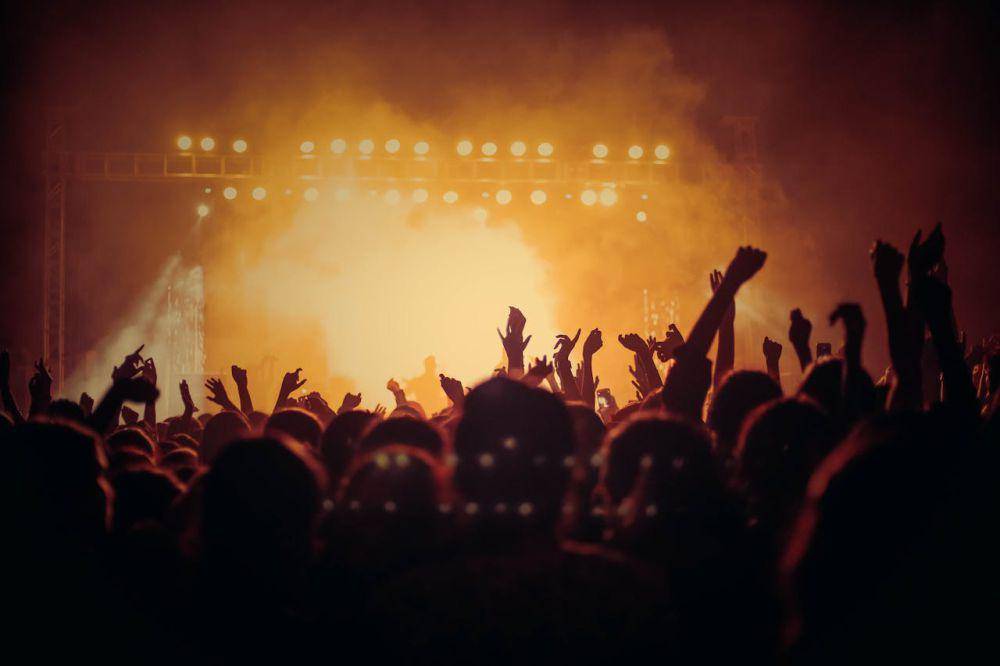Pertunjukan Musik (pexels.com/Vishnu R Nair)
