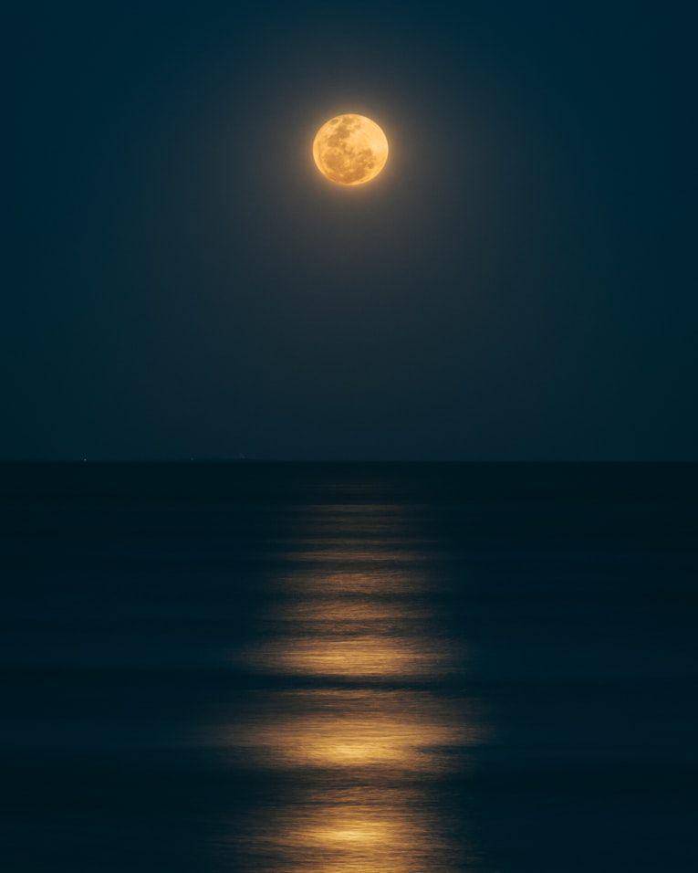 ilustrasi mangata (Unsplash.com/Guzman Barquin)