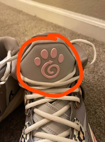potret sepatu dengan paw kucing dan anjing (twitter.com/Apprehensive-Ad-4195)