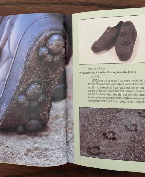 potret sepatu dengan paw kucing dan anjing (twitter.com/smunozmo)