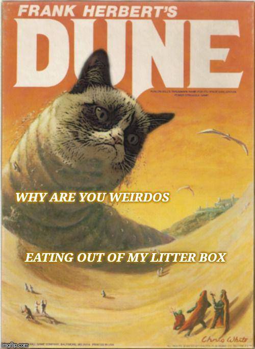 meme kucing tentang film Dune (imgflip.com/Panspermiote)