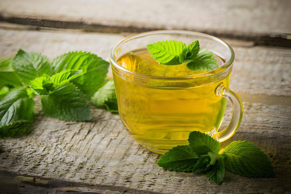 ilustrasi teh mint (istockphoto.com/Maya23K)