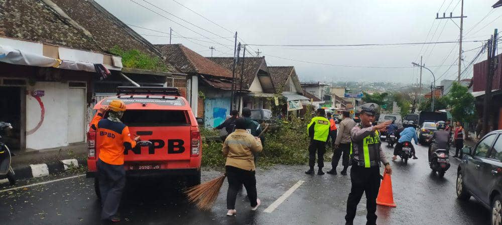 Hujan Disertai Angin Kencang, Pelajar di Kota Batu Tertimpa Pohon