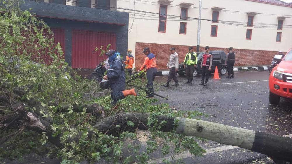 Pohon tumbang di Jalan Brantas, Kelurahan Nganglik, Kota Batu. (Dok. Humas Polres Batu)