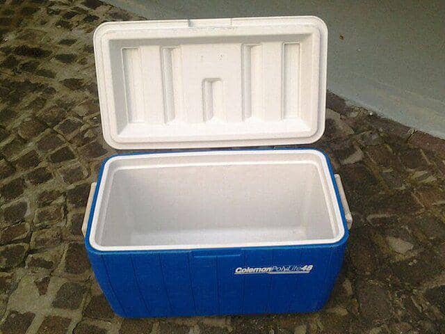 ilustrasi cooler box (commons.wikimedia.org/Meganbeckett27)