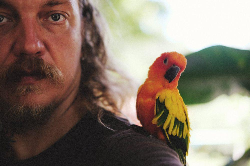 5 Extra Fooding dan Manfaat untuk Burung Lovebird, Wajib Dicoba!