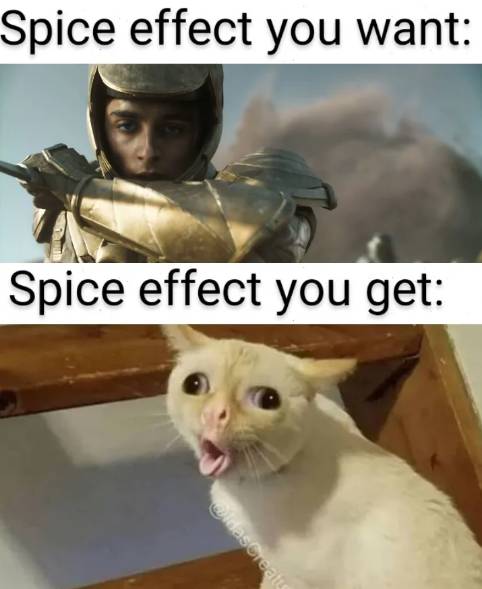meme kucing tentang film Dune (reddit.com/theUsurpateur)