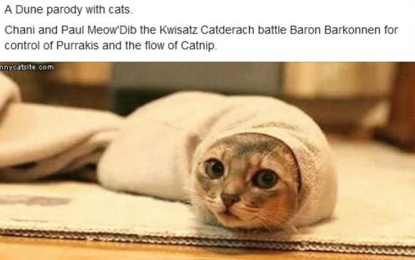 meme kucing tentang film Dune (reddit.com/bhd_ui)