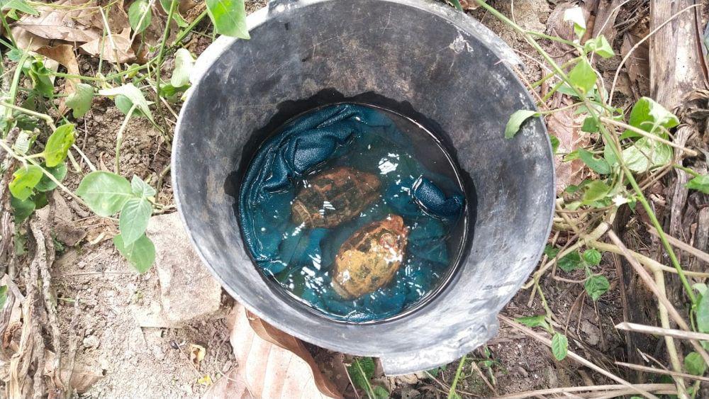 Bocah Temukan 2 Granat di Sergai, Diduga Peninggalan Perang Dunia II