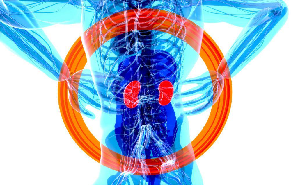 3 Ciri Urine Orang yang Ginjalnya Bermasalah
