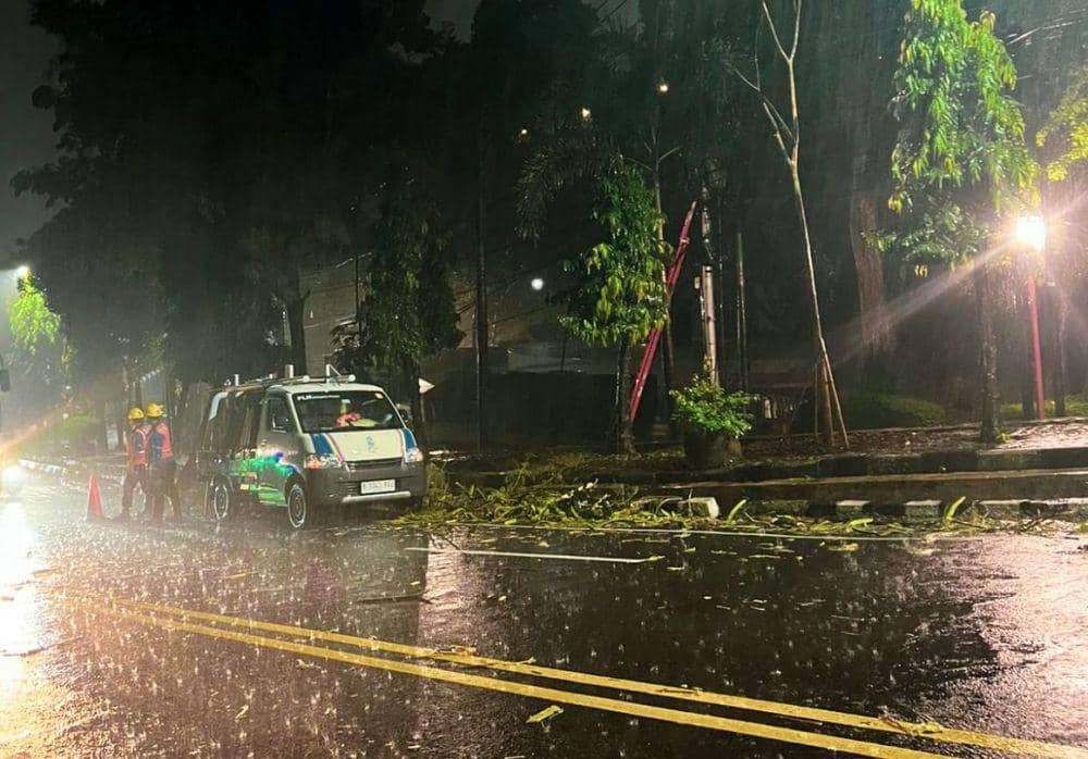 Petugas PLN melakukan pengamanan kelistrikan saat cuaca ekstrem. (dok. PLN)