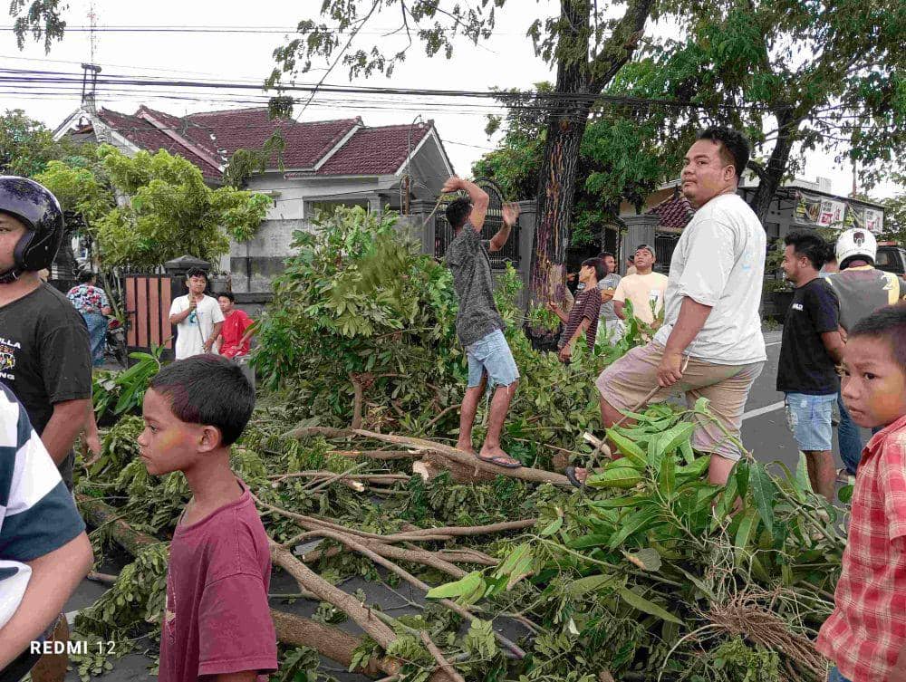Warga Songak memblokir jalan raya dengan pohon  (IDN Times/Ruhaili)