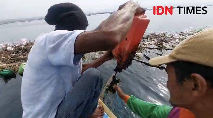 Pembudidaya kerang hijau di Teluk Betung Timur Bandar Lampung. (IDN Times/Rohmah Mustaurida)