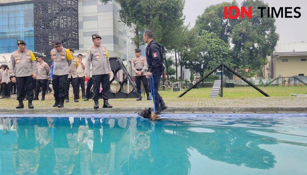 Kabaharkam Polri, Komjen Mohammad Fadil Imran meninjau pelatihan satwa untuk membantu tugas Sabhara di Korps Sabhara Baharkam Polri, Cimanggis, Depok. (IDNTimes/Dicky)