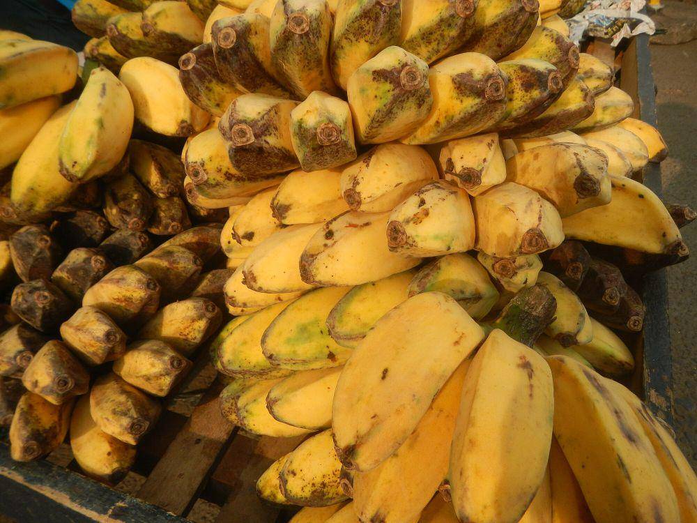 pisang kepok (commons.wikimedia.org/Hakimfloro)