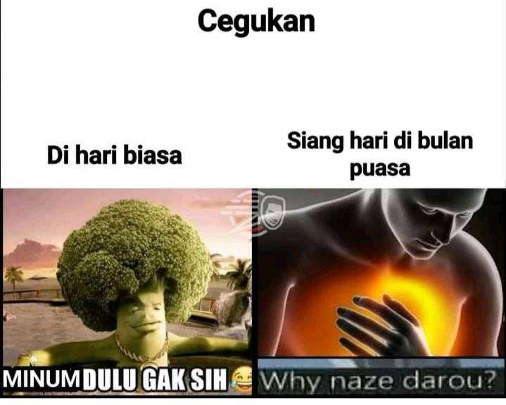 meme siang hari bulan puasa (instagram.com/pos.total)