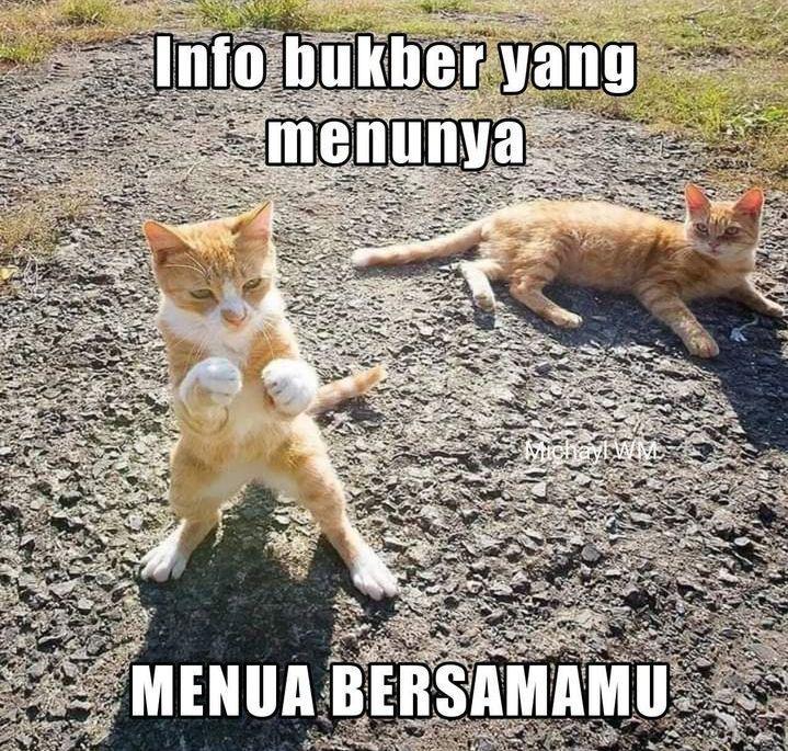 meme bukber (instagram.com/yestevday)