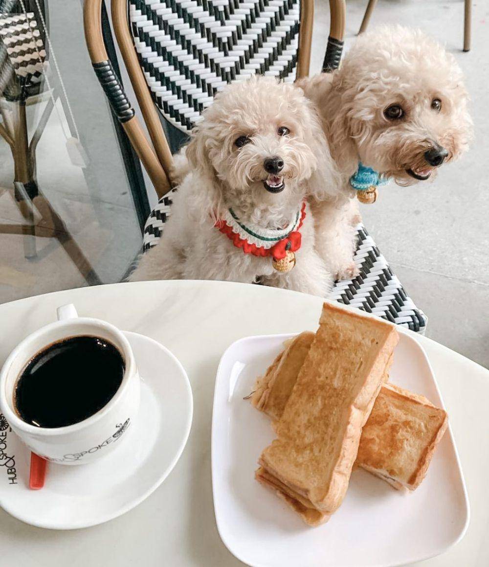 Hub and Spoke Cafe (instagram.com/hubandspokecafe)