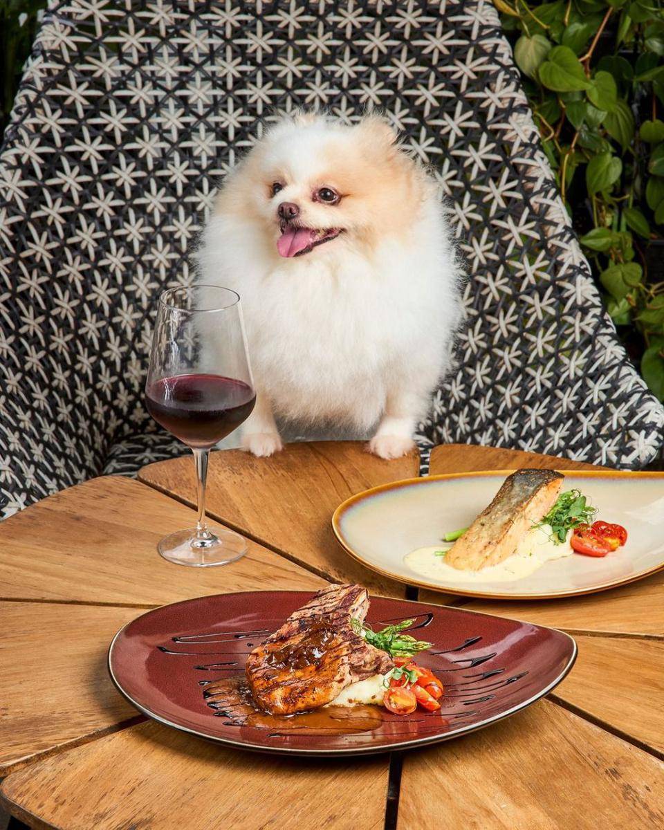 Canopy Garden Dining (instagram.com/canopygardendining)