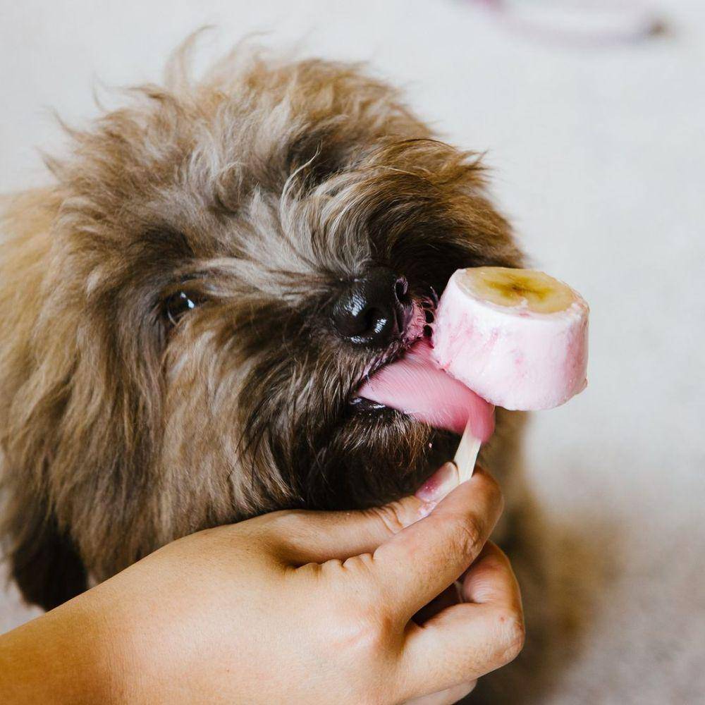 Mr. Bucket Chocolaterie (instagram.com/mrbucketchocolaterie)